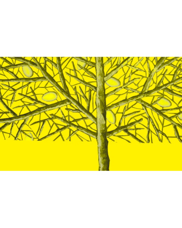 Μέσα χρώμα, Διονύσης Μαρίνος, Bookpress.gr